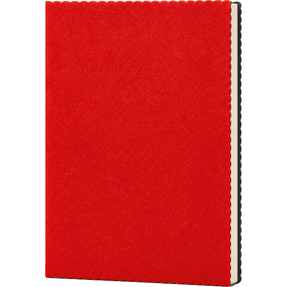 Erciyes-K Tarihsiz Defter
