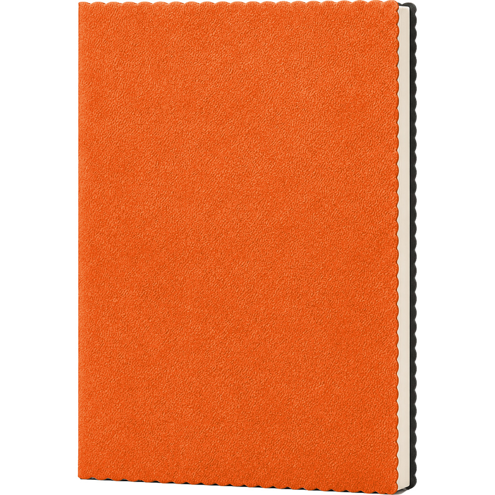 Erciyes-T Tarihsiz Defter